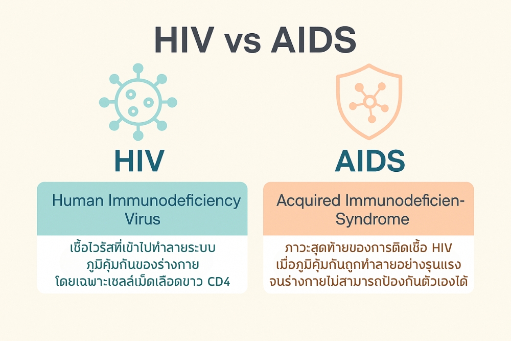 ทำไม ติดเชื้อ HIV ไม่ได้แปลว่าต้องป่วยเป็นเอดส์